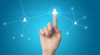 從雷軍七字口訣看熊掌號的互聯(lián)網(wǎng)發(fā)展前景